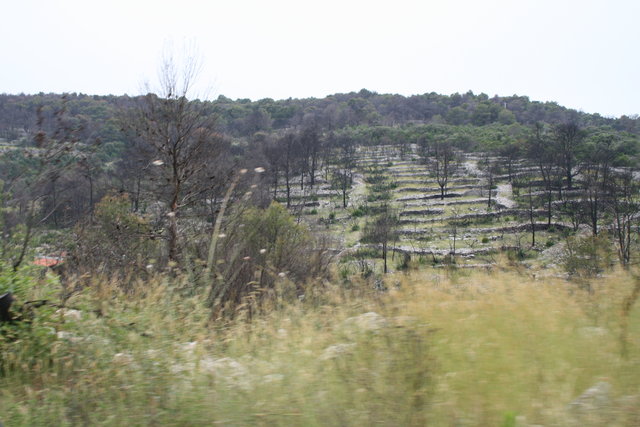 gal/cro 08/small-IMG_4716.JPG